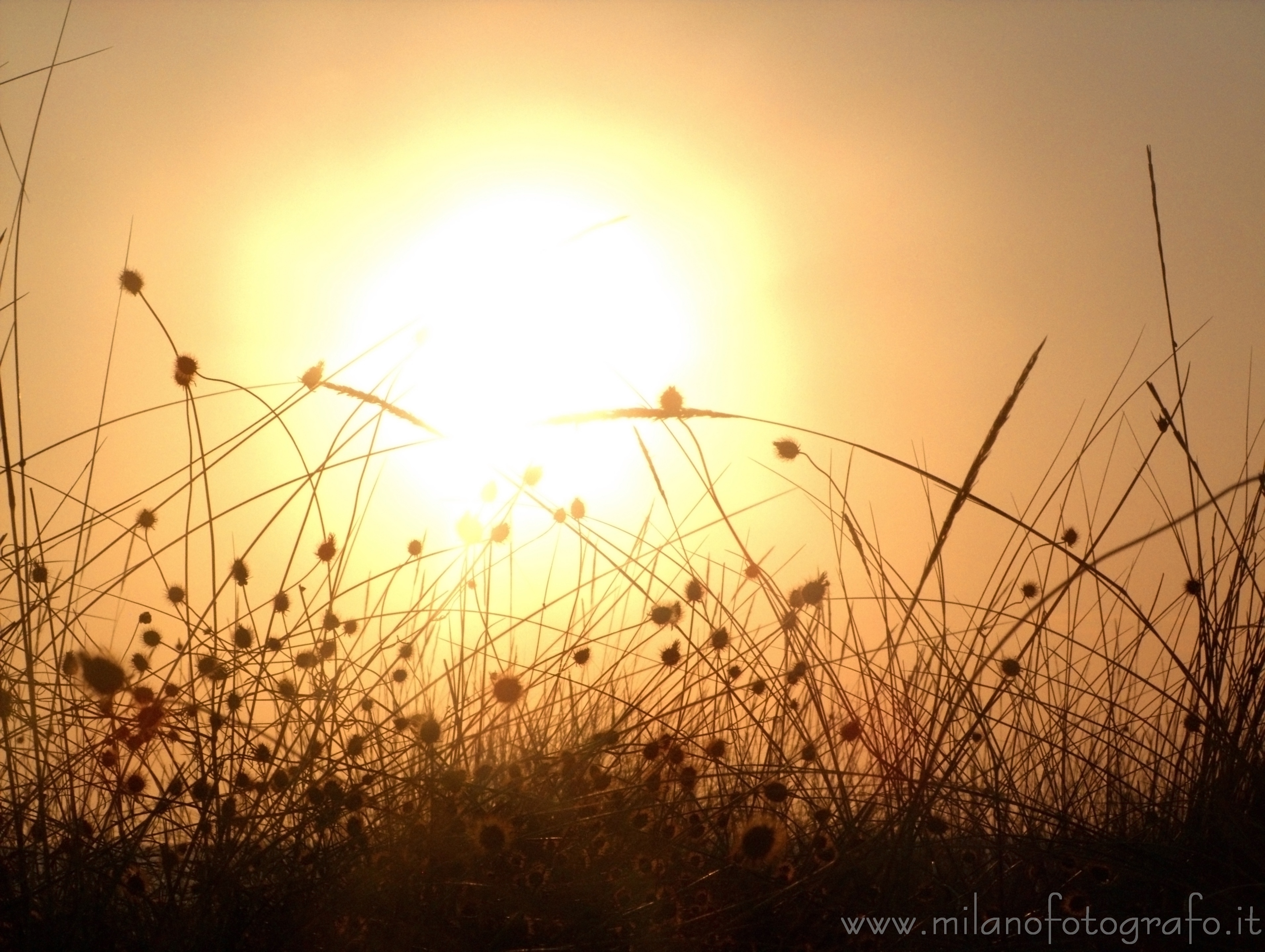 Torre San Giovanni (Lecce, Italy) - Low sun behind the dunes